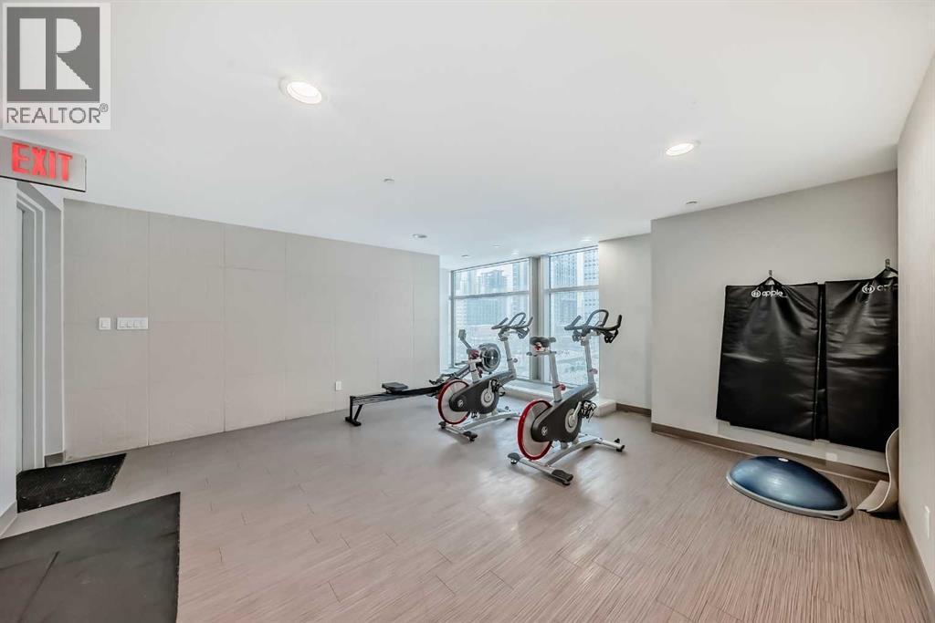 3402, 1122 3 Street Se, Calgary, AB - Indoor Photo Showing Gym Room