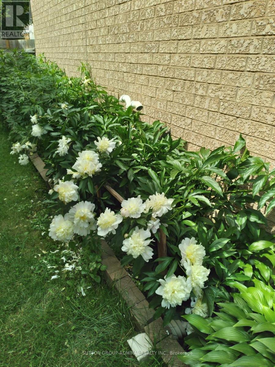 95 Athabaska Road, Barrie, ON - Outdoor