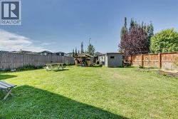 Summer Time Backyard -