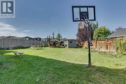 Summer Time Backyard -