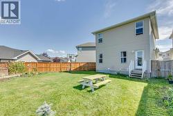 Summer Time Backyard -