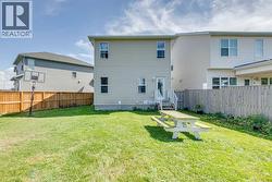 Summer Time Backyard -