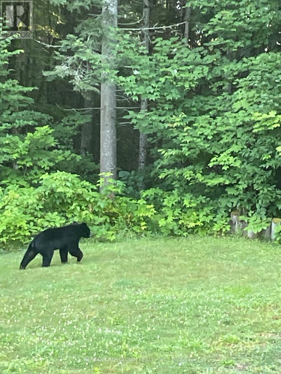 510 South Horn Lake Road, Armour, ON - Outdoor