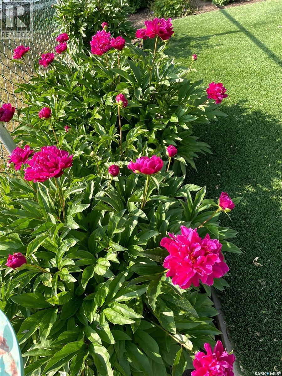 222 Lillooet Street W, Moose Jaw, SK - Outdoor