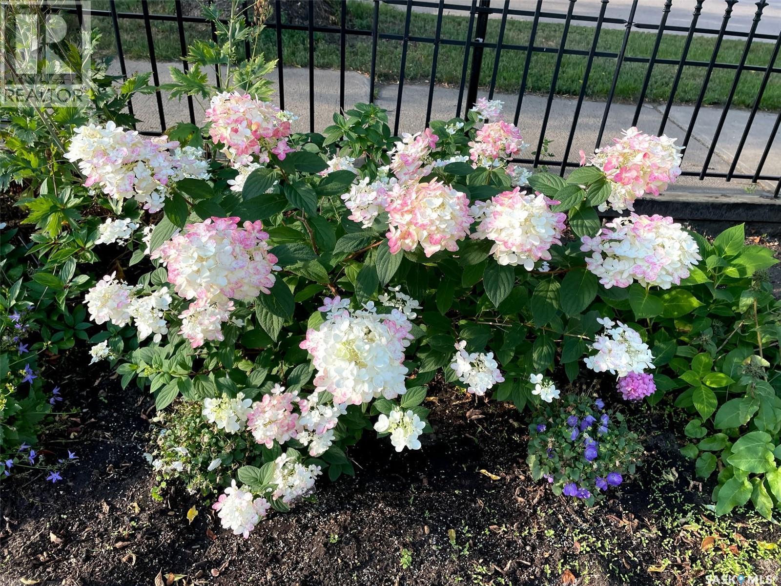 222 Lillooet Street W, Moose Jaw, SK - Outdoor