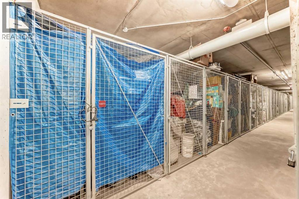 225, 20 Royal Oak Plaza Nw, Calgary, AB - Indoor With Storage