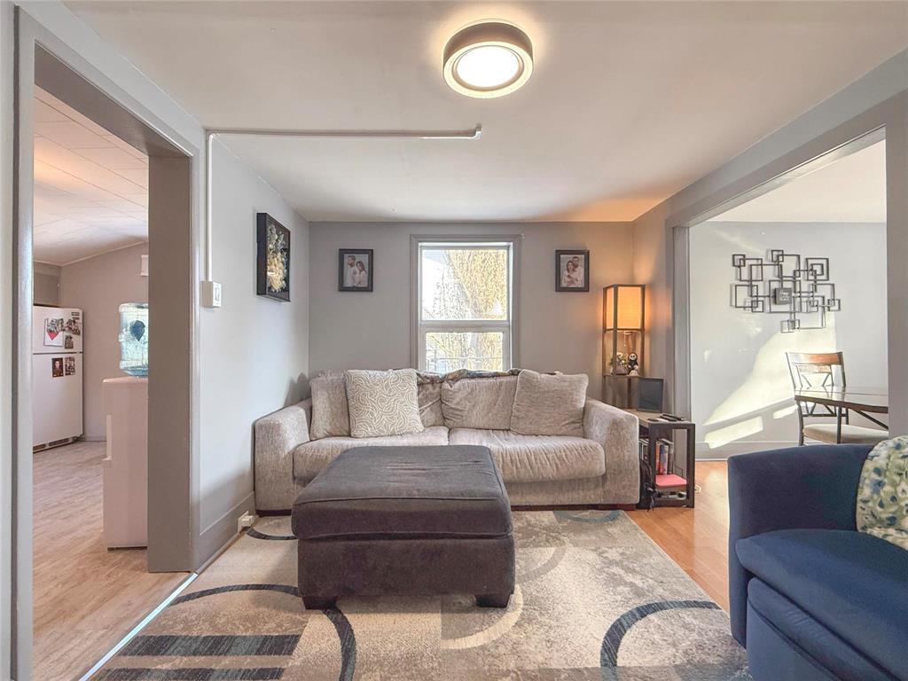 310 Commercial Street, Wawanesa, MB - Indoor Photo Showing Living Room