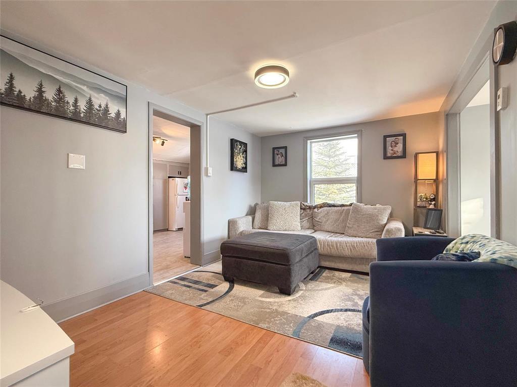310 Commercial Street, Wawanesa, MB - Indoor Photo Showing Living Room