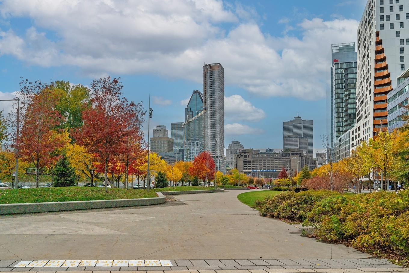 View - 206-888 Rue Wellington, Montréal (Ville-Marie), QC - Outdoor