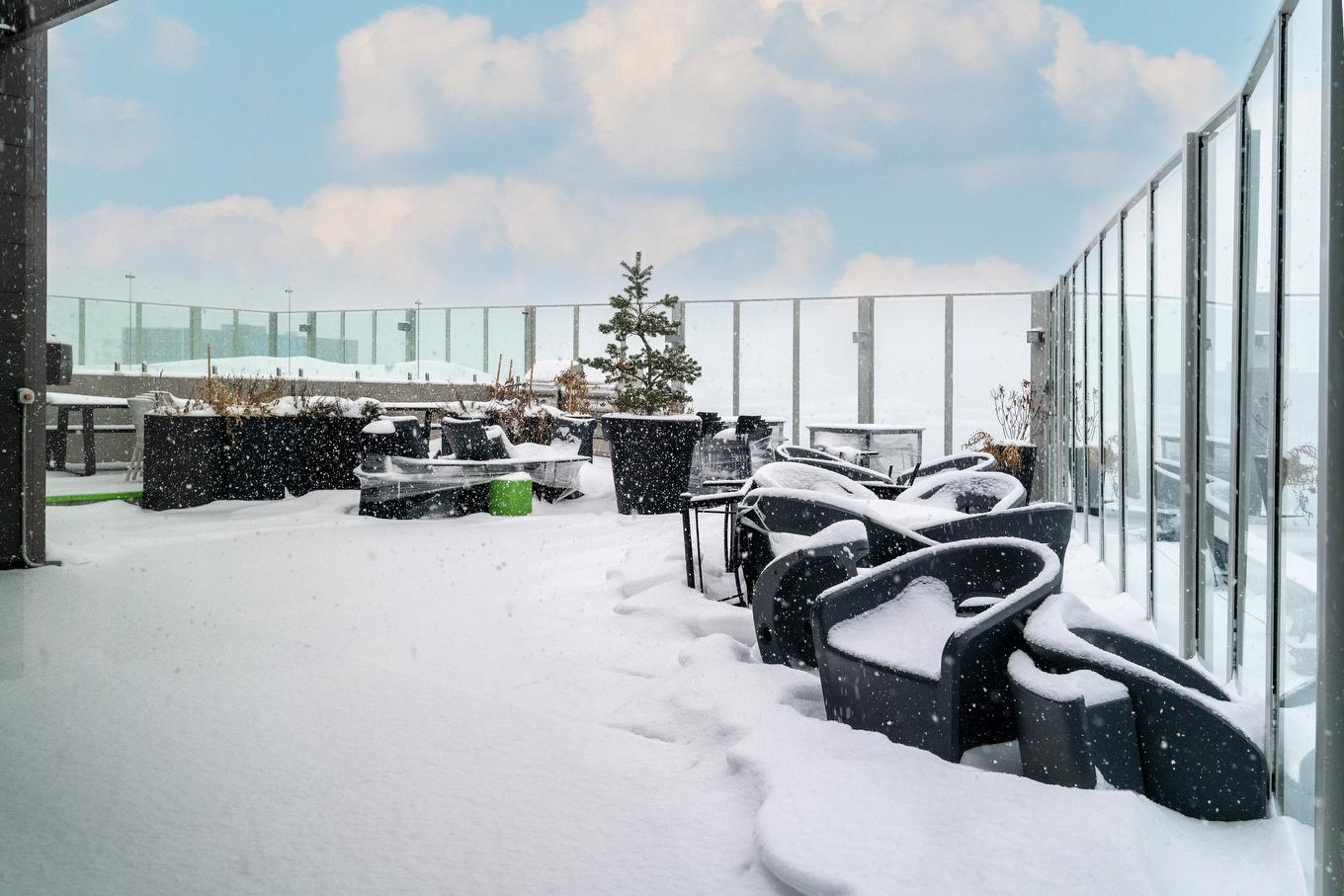 Patio - 206-888 Rue Wellington, Montréal (Ville-Marie), QC - Outdoor