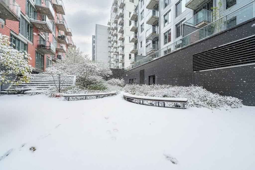 Patio - 206-888 Rue Wellington, Montréal (Ville-Marie), QC - Outdoor