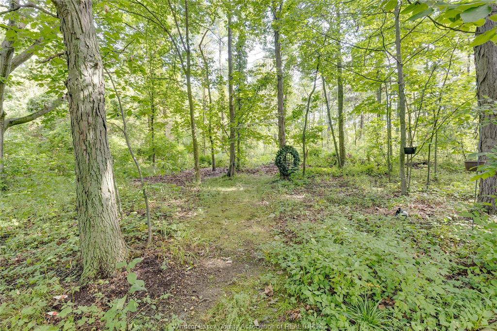 492 Gregory Line, Wheatley, ON