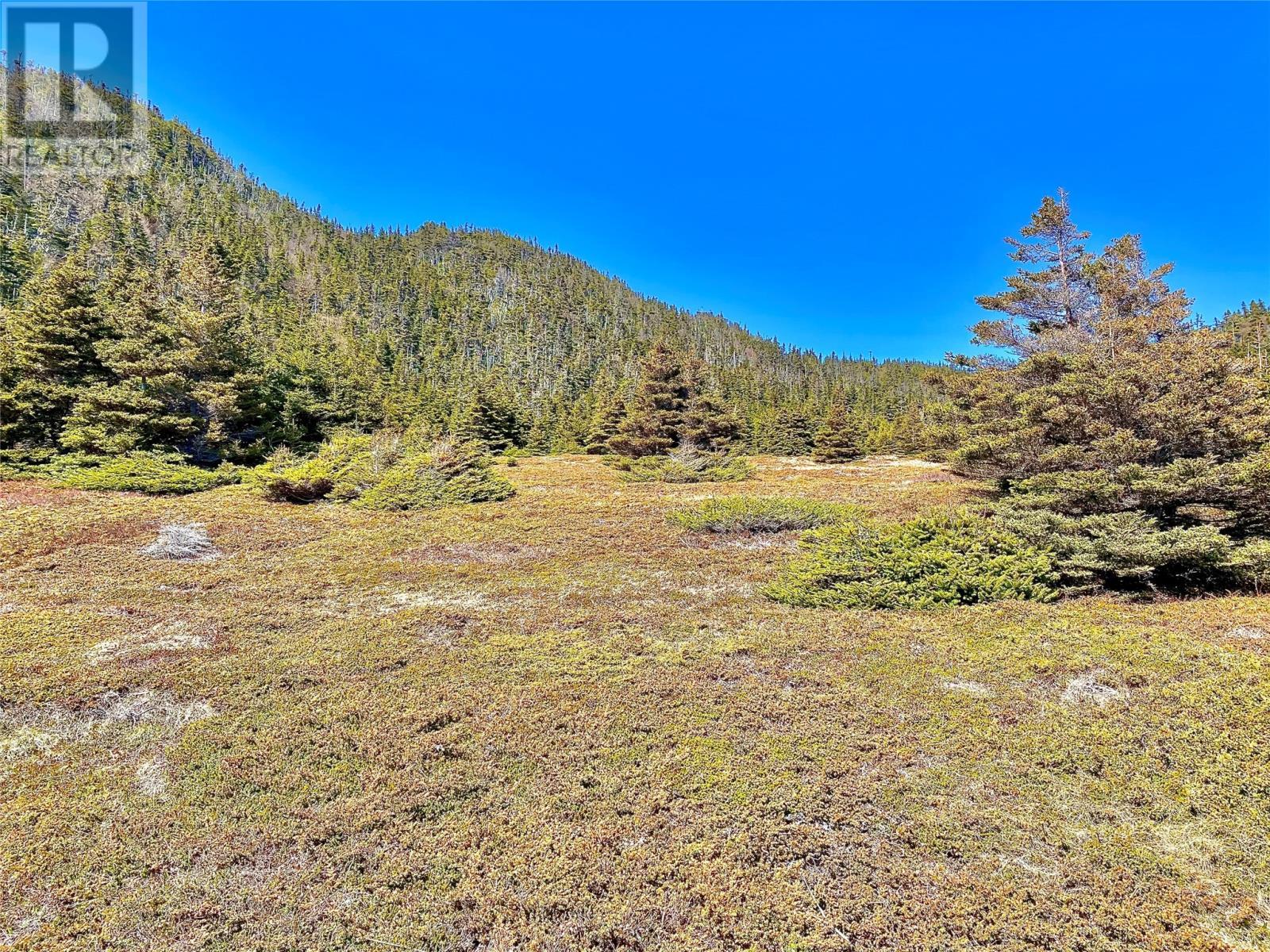 0 (A) Fort Point Road, Trinity, NL