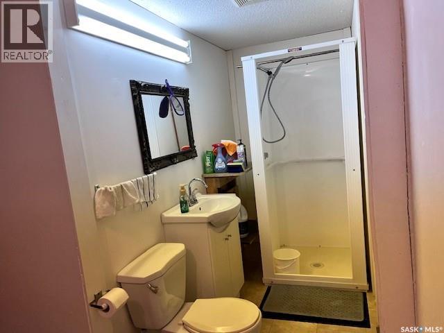 207 Kinistino Avenue W, Kinistino, SK - Indoor Photo Showing Bathroom
