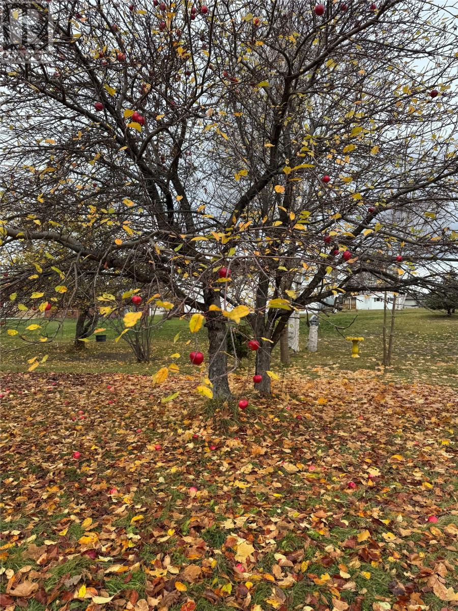 3 Shaws Lane, Deer Lake, NL - Outdoor With View