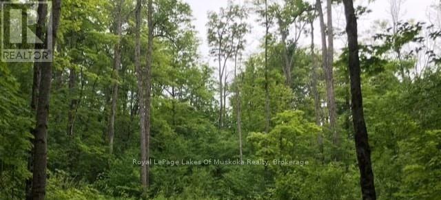 1154 Delia Road, Bracebridge (Macaulay), ON