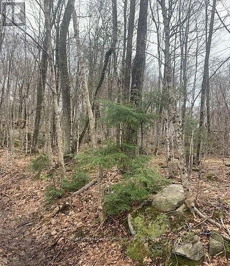 1154 Delia Road, Bracebridge (Macaulay), ON