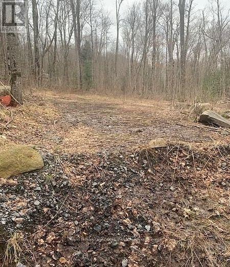 1154 Delia Road, Bracebridge (Macaulay), ON