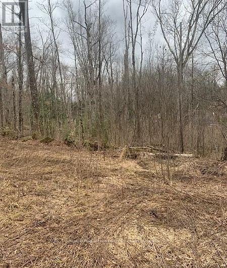 1154 Delia Road, Bracebridge (Macaulay), ON