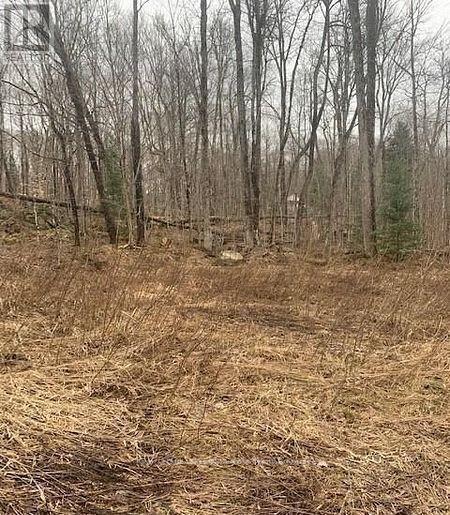 1154 Delia Road, Bracebridge (Macaulay), ON