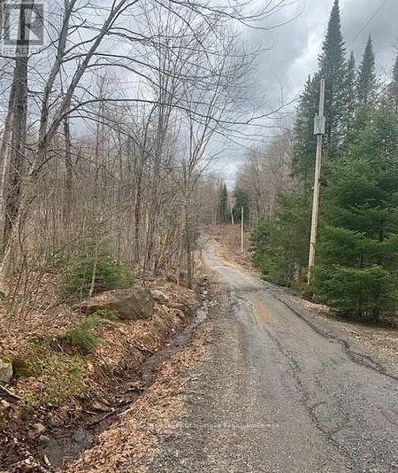 1154 Delia Road, Bracebridge (Macaulay), ON