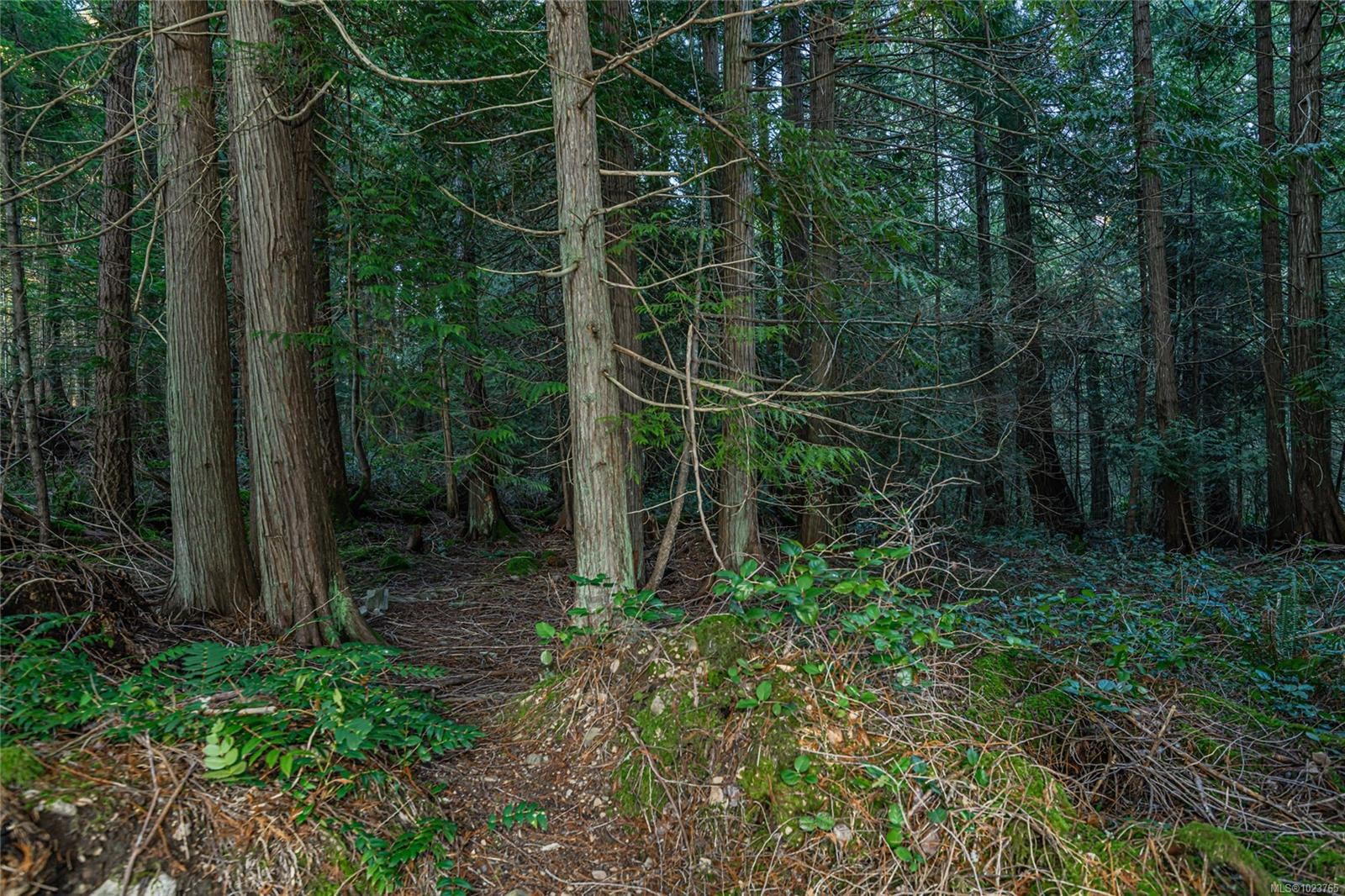 170 Thomas Rd, Salt Spring, BC