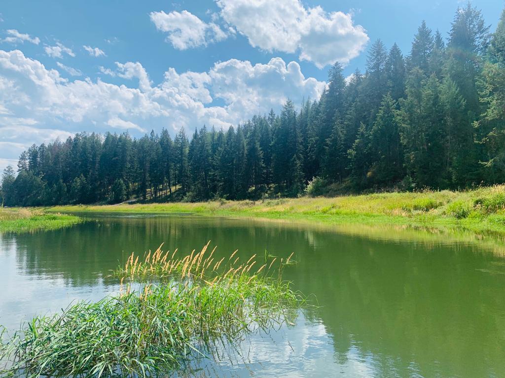 22-6324 Laurier Avenue, Wardner, BC - Outdoor With Body Of Water With View