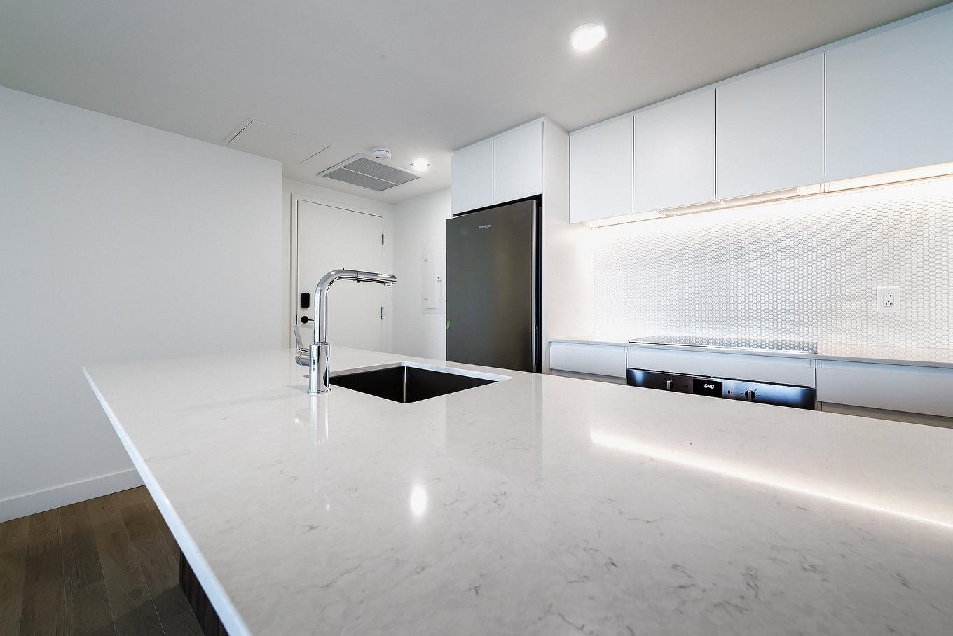 Cuisine - 3501-1245 Rue De Bleury, Montréal (Ville-Marie), QC - Indoor Photo Showing Kitchen