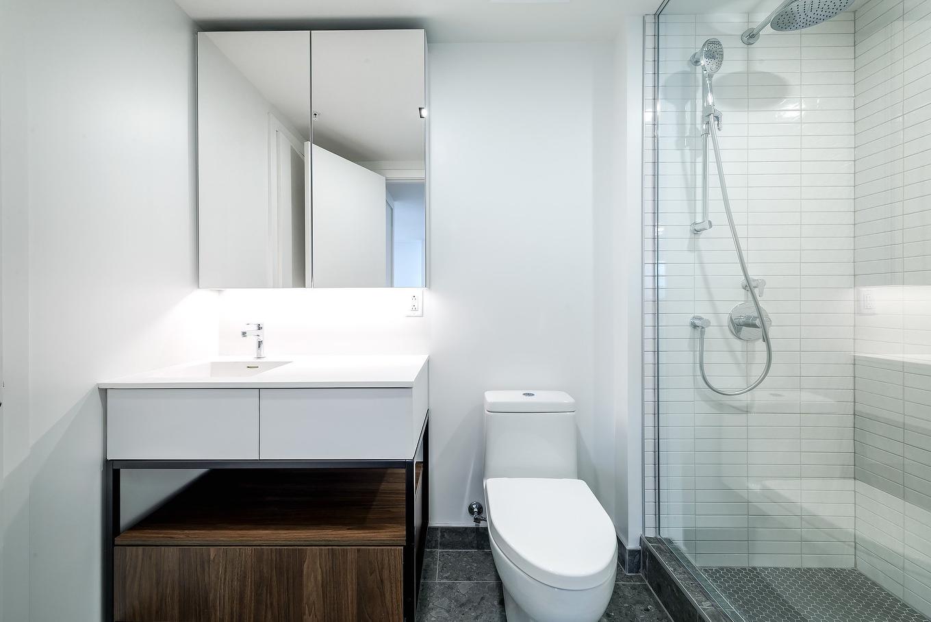 Salle de bains - 3501-1245 Rue De Bleury, Montréal (Ville-Marie), QC - Indoor Photo Showing Bathroom