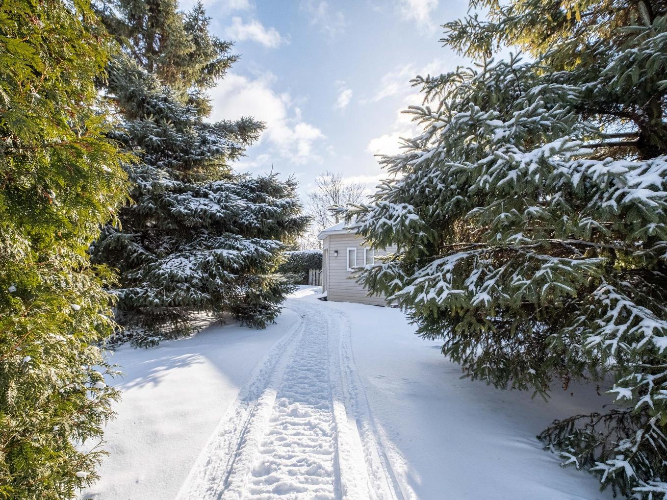 Backyard - 108 Rue Joseph-Théberge, Saint-Mathias-Sur-Richelieu, QC - Outdoor