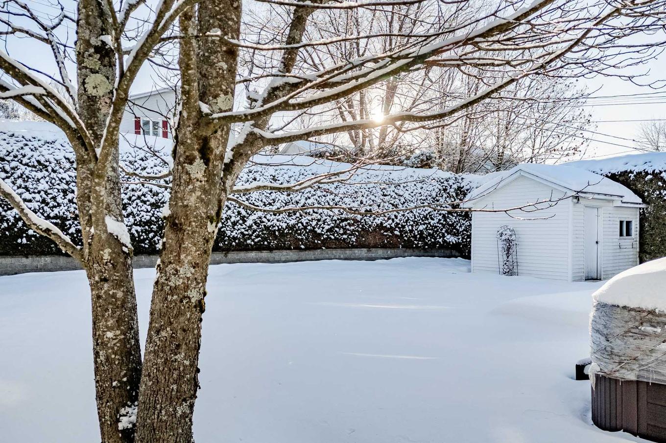 Backyard - 992 Rue Du Sieur-D'Iberville, Sherbrooke (Les Nations), QC - Outdoor