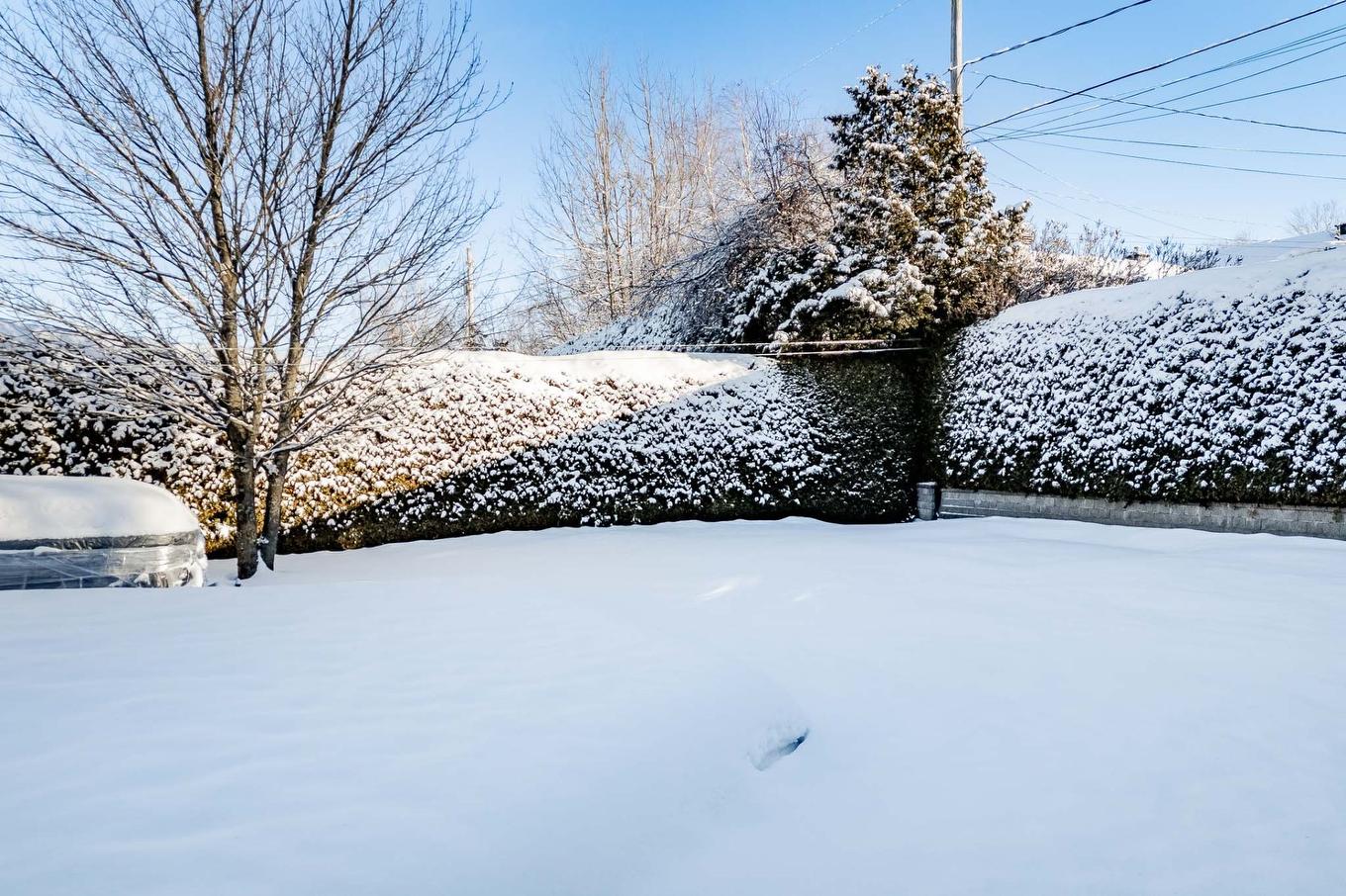 Backyard - 992 Rue Du Sieur-D'Iberville, Sherbrooke (Les Nations), QC - Outdoor