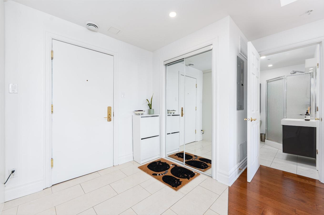 Hall - 704A-800 Rue Muir, Montréal (Saint-Laurent), QC - Indoor Photo Showing Other Room