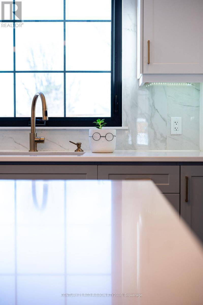 18 Mcnab Street, Strathroy-Caradoc (Se), ON - Indoor Photo Showing Kitchen