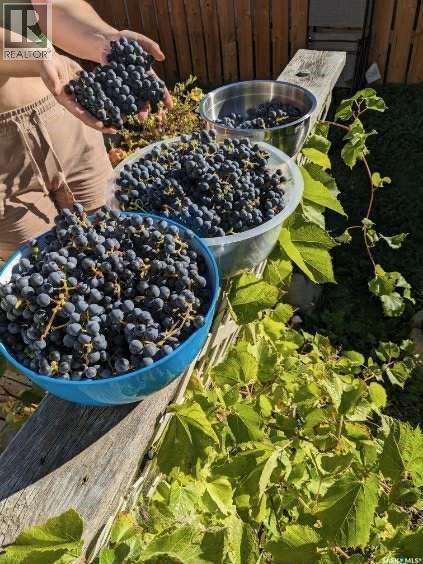 68 1035 Boychuk Drive, Saskatoon, SK