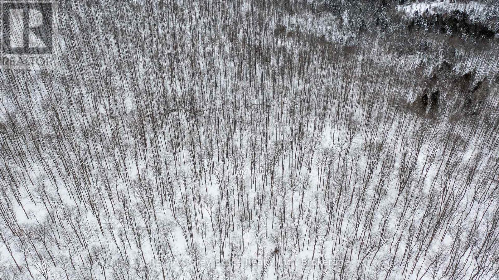 Lt 34 Con 23 Concession 24, Georgian Bluffs, ON