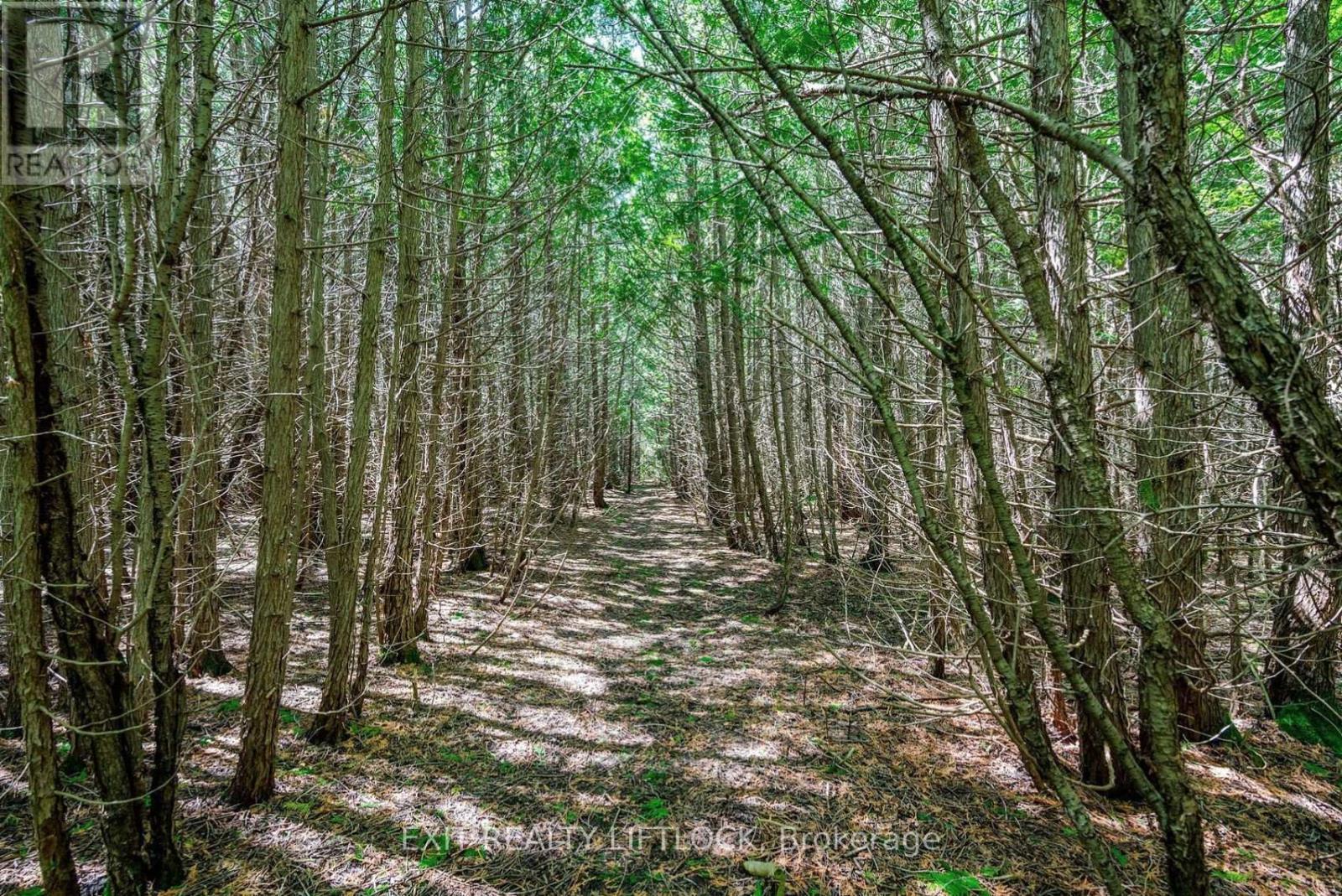 4922 Highway 7, Kawartha Lakes (Omemee), ON - Outdoor With View