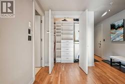 Large closet with organizers -