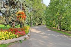 Beautiful Prince's Island Park walking paths -