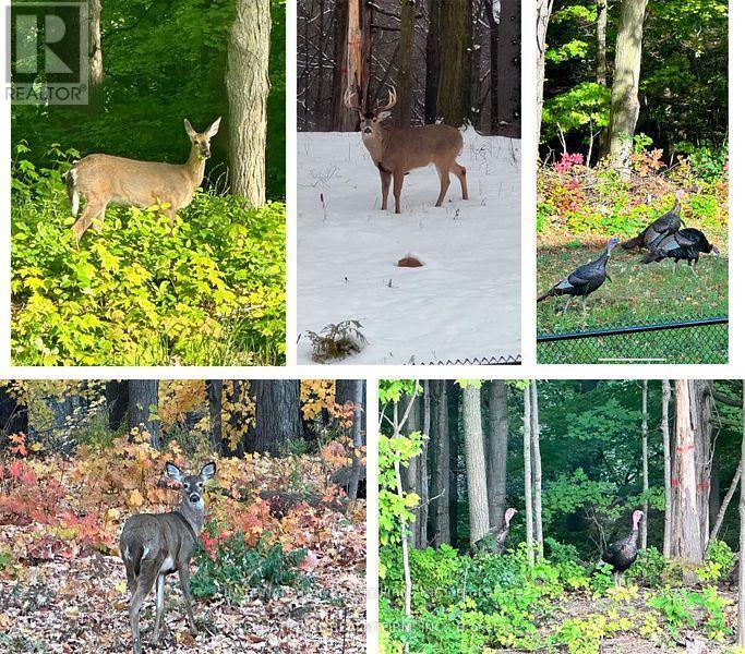 150 Cannes Avenue, Vaughan, ON - Outdoor