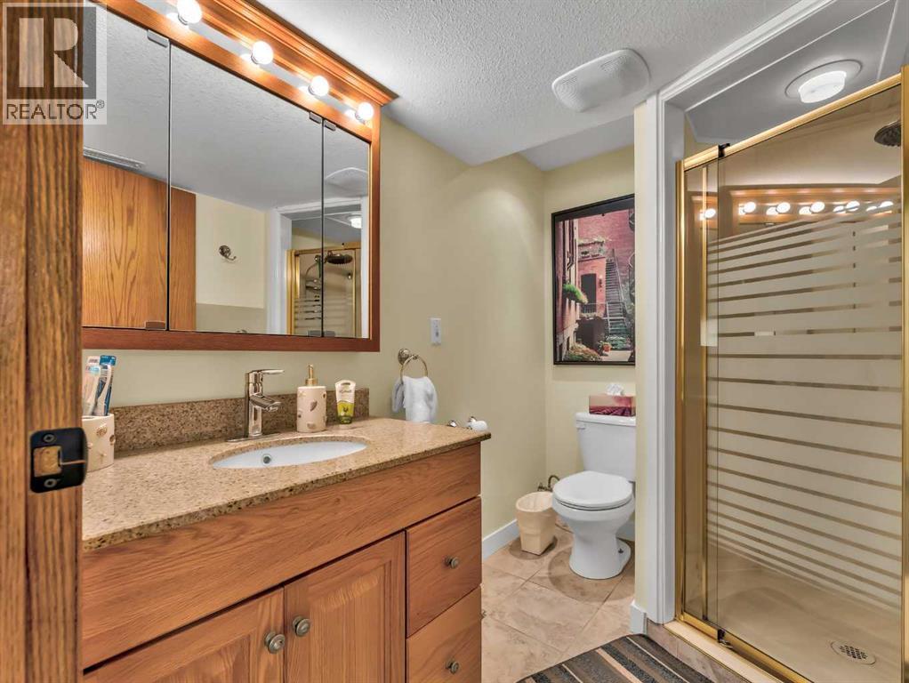 35 Horner Court Ne, Medicine Hat, AB - Indoor Photo Showing Bathroom