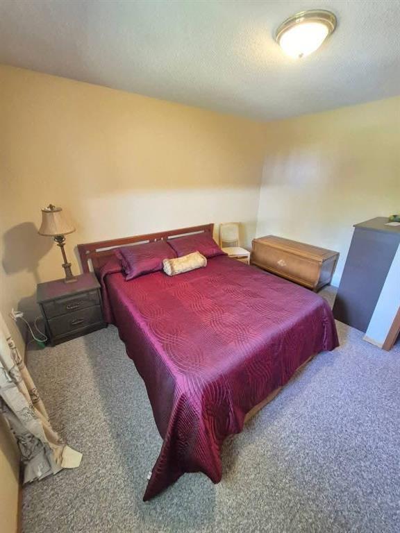 103080 Pth 5 Highway, Riding Mountain, MB - Indoor Photo Showing Bedroom