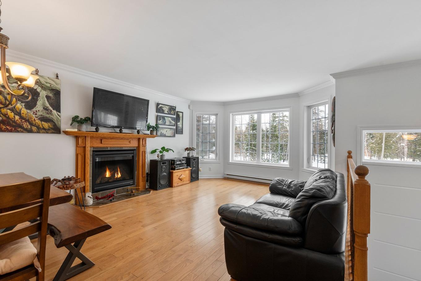 Salon - 159 Ch. Scott, Gore, QC - Indoor Photo Showing Living Room With Fireplace