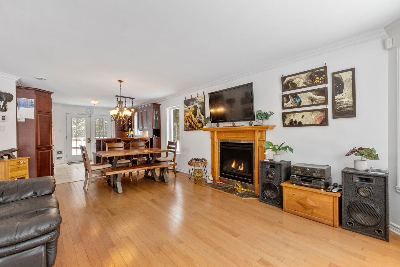 Salon - 159 Ch. Scott, Gore, QC - Indoor Photo Showing Living Room With Fireplace