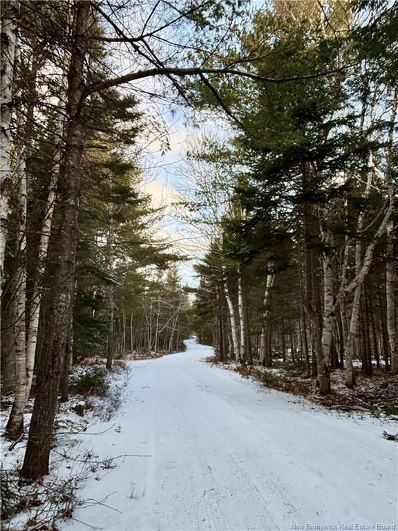 262 Straightbrook Rd, Tabusintac, NB