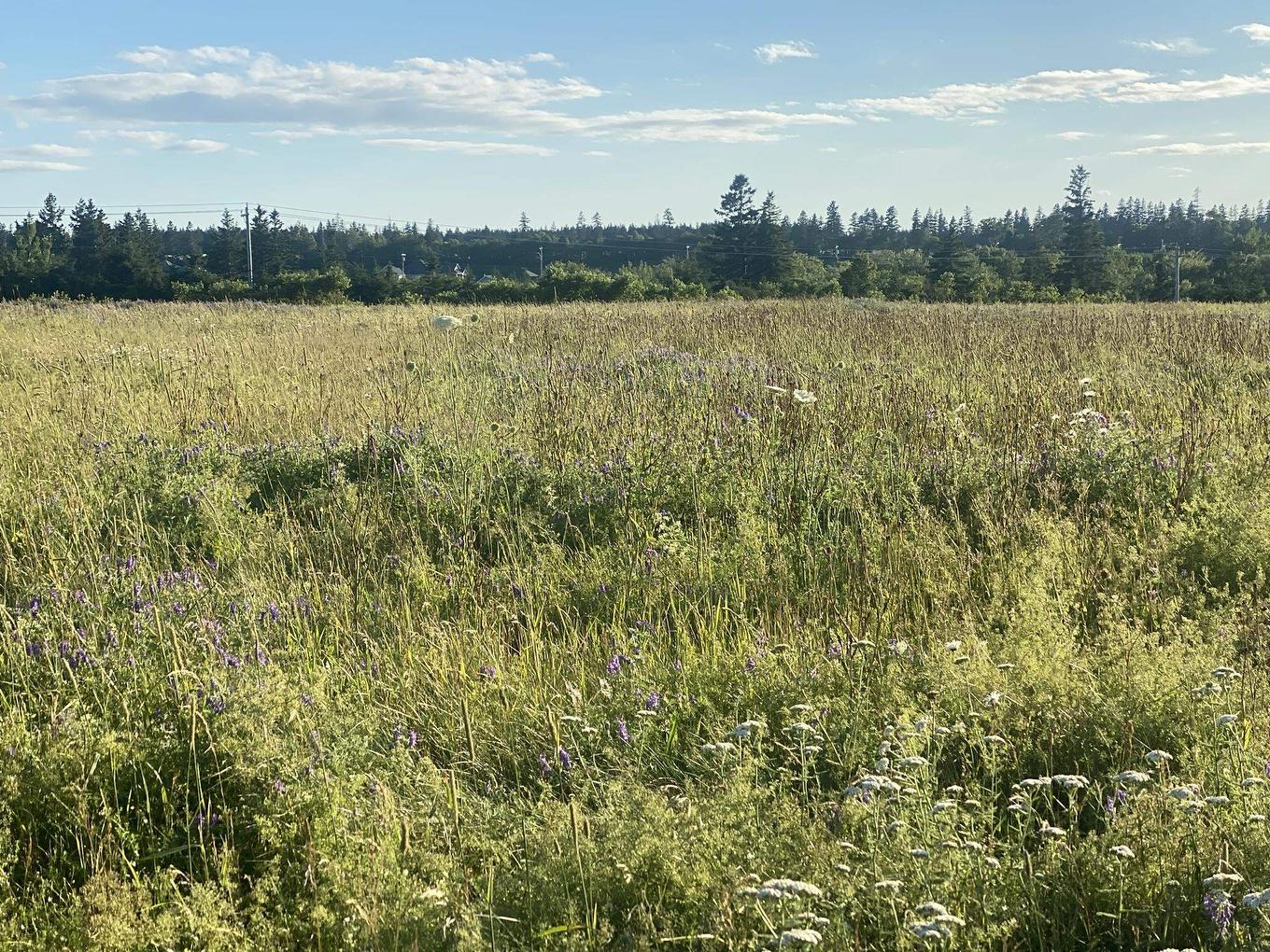 15 Rose Lane, Stanley Bridge, PE