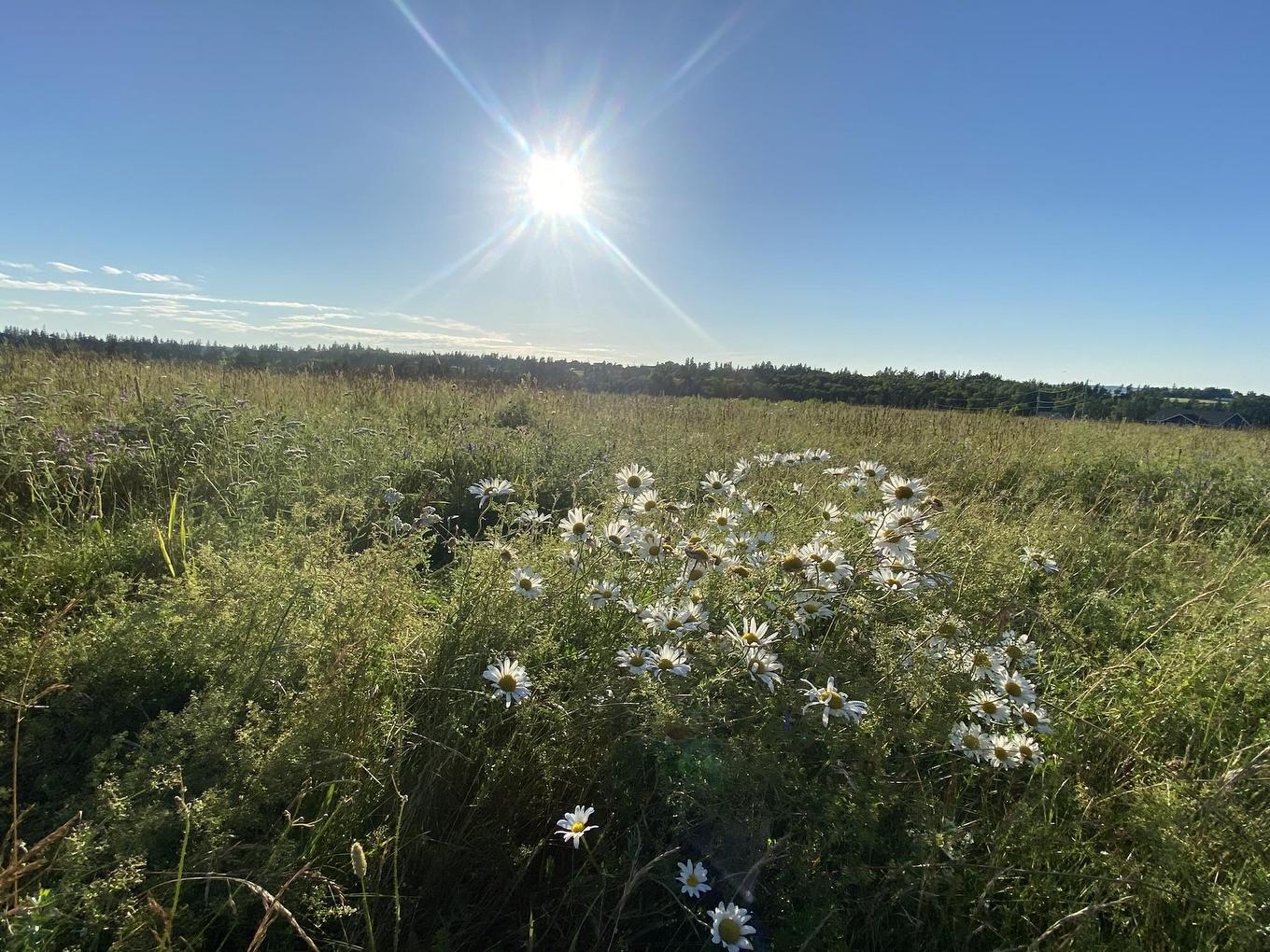 15 Rose Lane, Stanley Bridge, PE