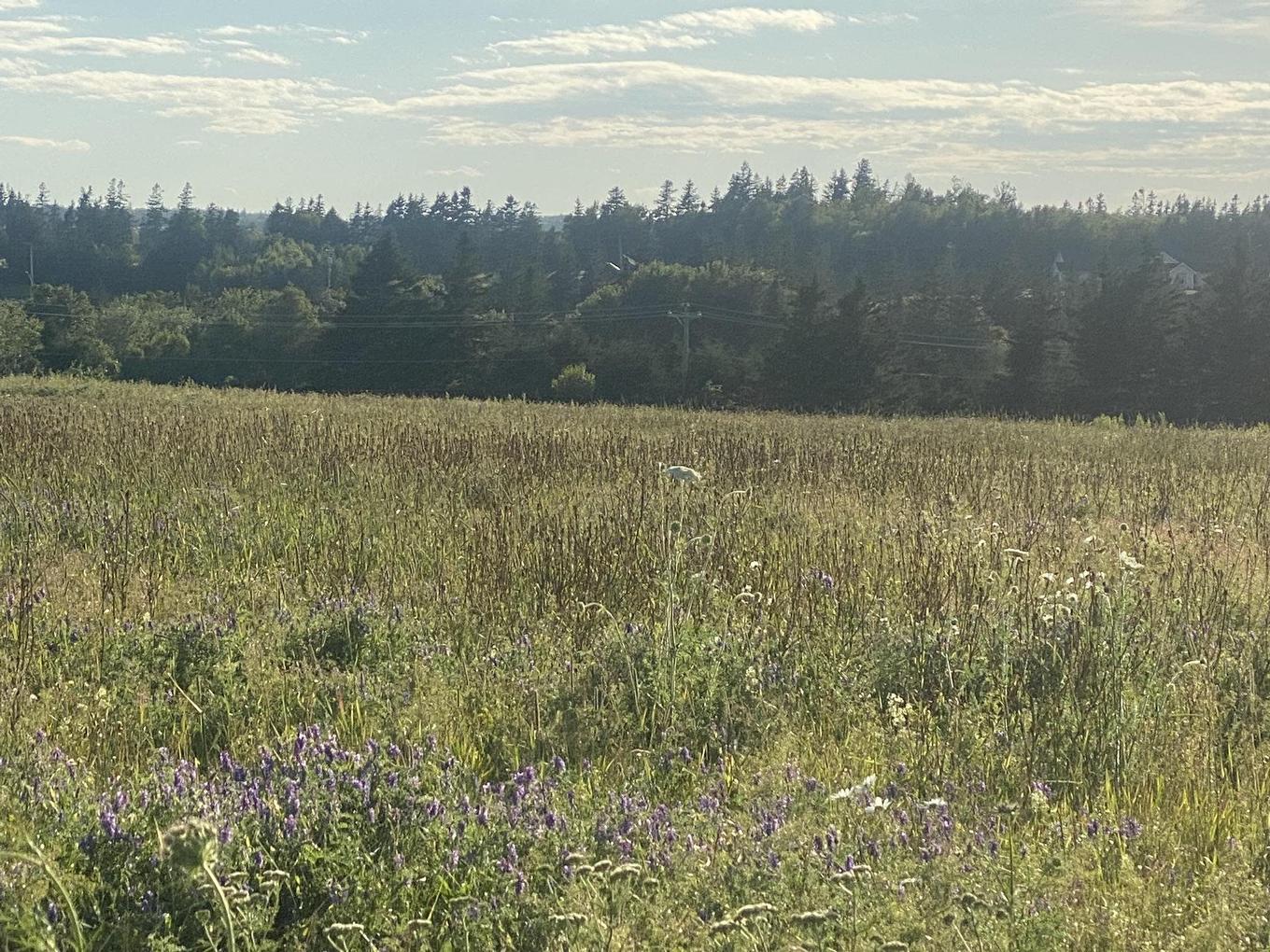 7 Rose Lane, Stanley Bridge, PE