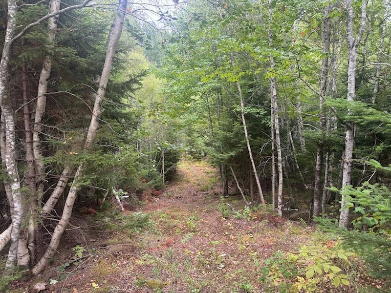 420 Highway 246, Wentworth, NS