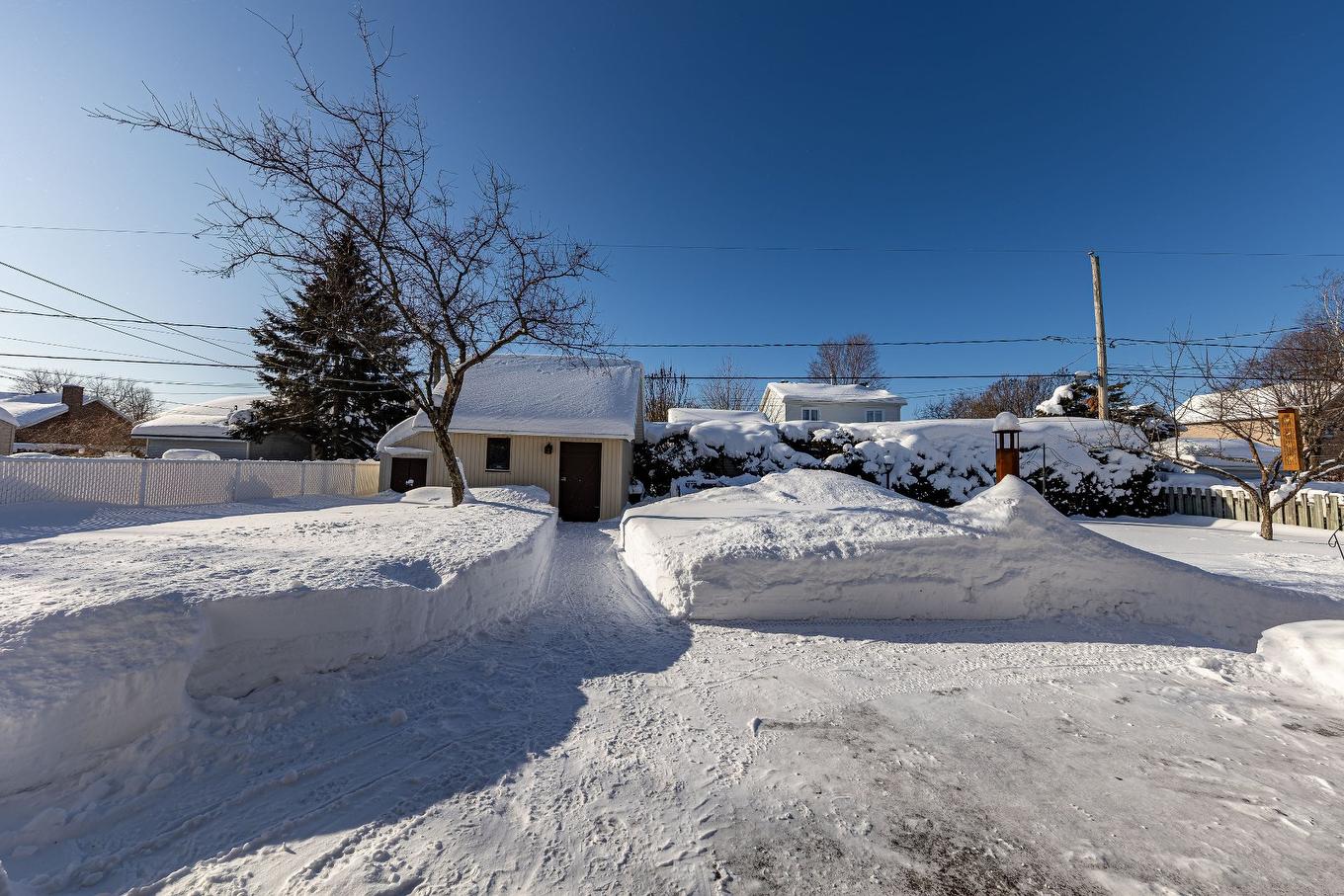 Cour - 54 Rue De La Licorne, Québec (Beauport), QC - Outdoor